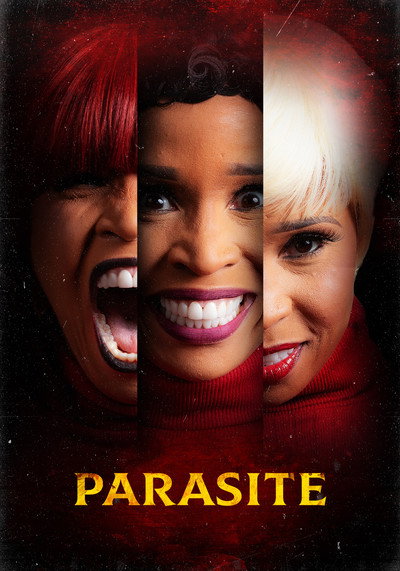 Póster de Parasite