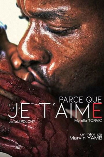 Póster de Parce que je t'aime