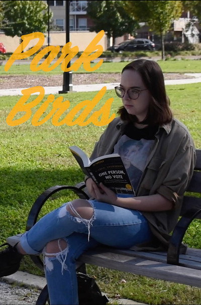Póster de Park Birds
