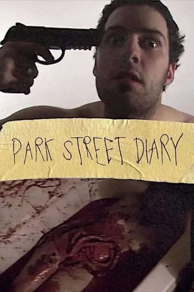 Póster de Park Street Diary