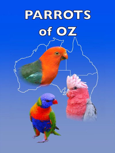 Póster de Parrots of Oz