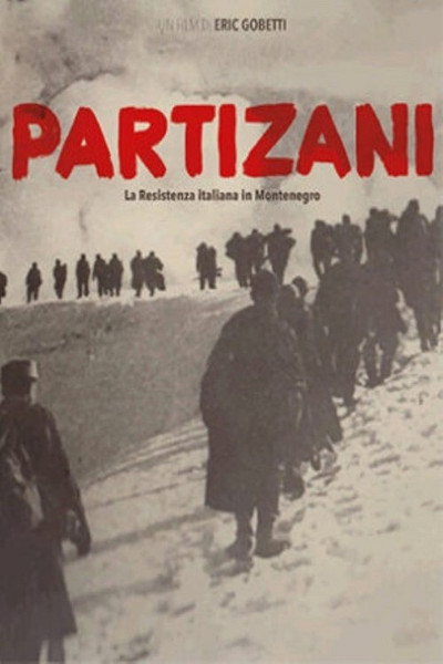 Póster de Partizani