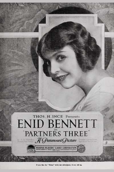 Póster de Partners Three