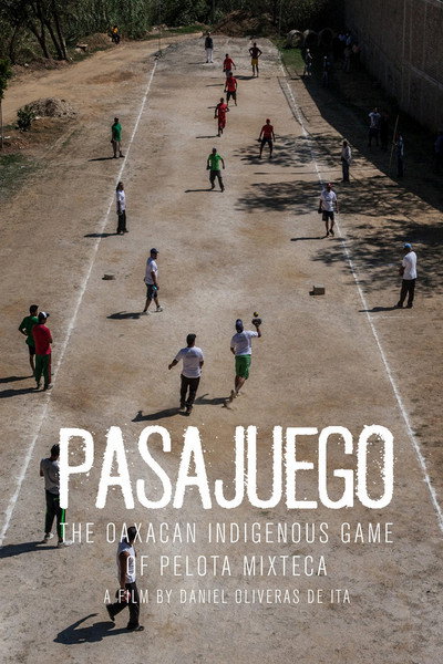 Póster de Pasajuego