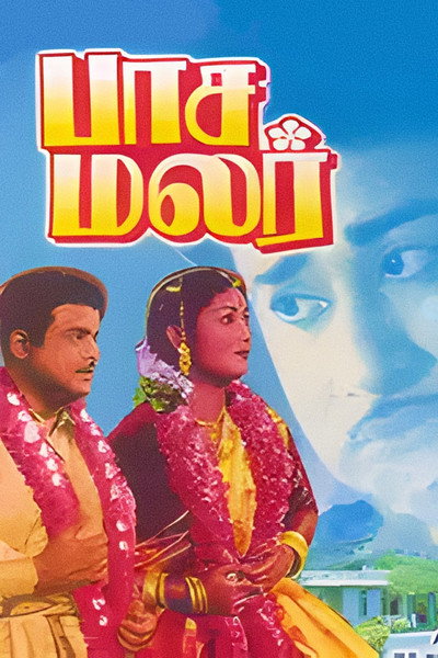 Póster de Pasamalar