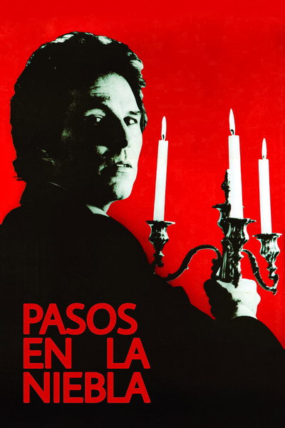 Póster de Pasos en la niebla