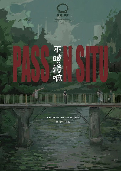 Póster de Pass in Situ
