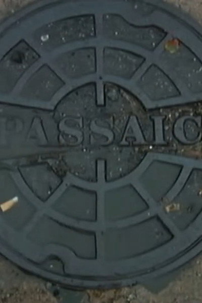 Póster de Passaic Mosaic