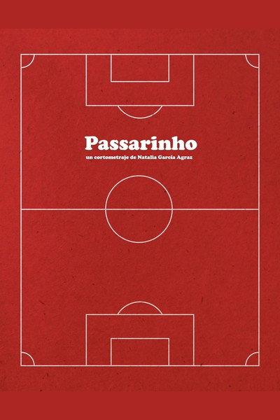 Póster de Passarinho