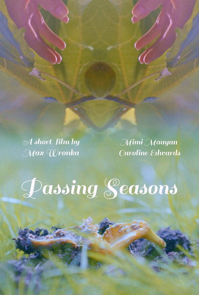 Póster de Passing Seasons