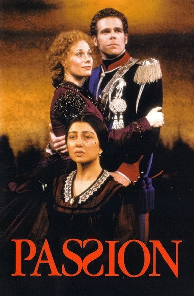 Póster de Passion