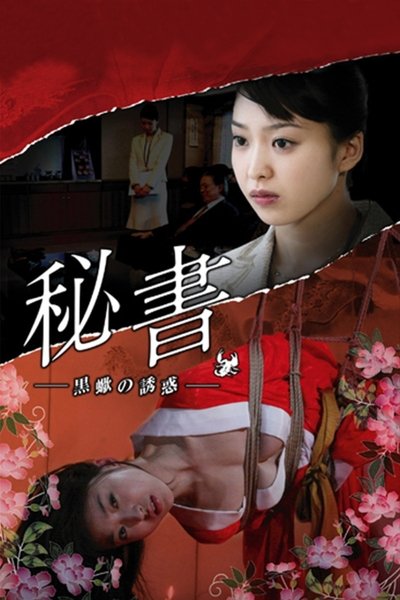 Póster de Passions of a Private Secretary
