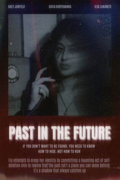 Póster de Past in the Future