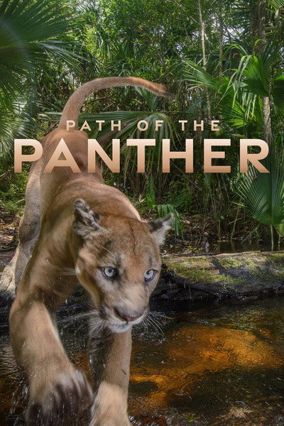 Póster de Path of the Panther