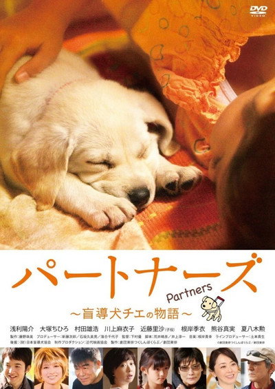 Póster de Pâtonâzu