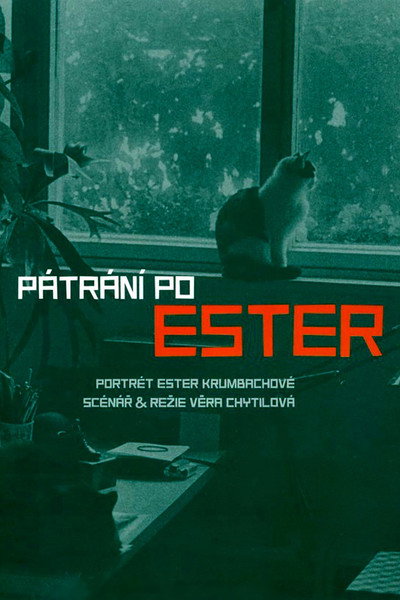 Póster de Pátrání po Ester