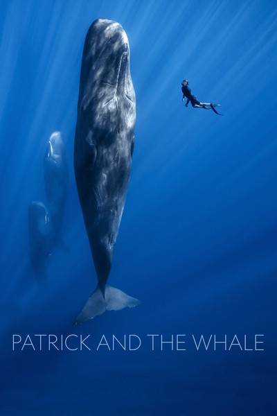 Póster de Patrick and the Whale