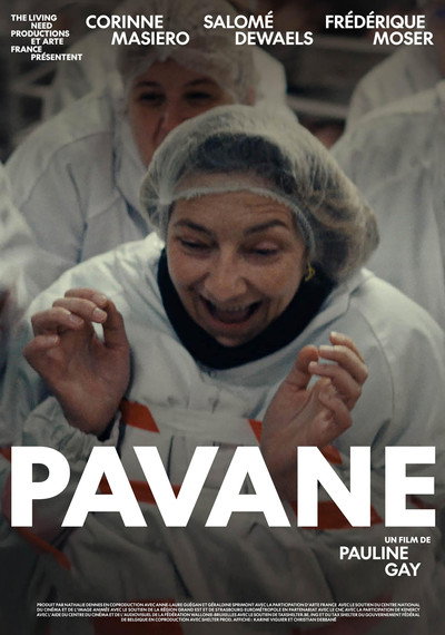 Póster de Pavane