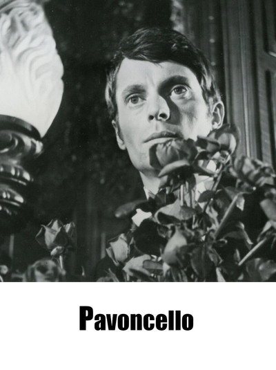 Póster de Pavoncello