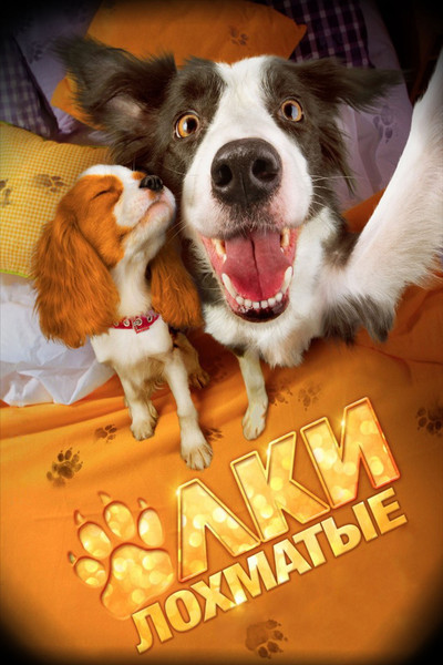 Póster de Paws, Bones & Rock'n'roll