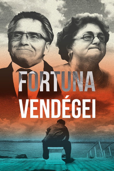 Póster de Paying a Visit to Fortuna