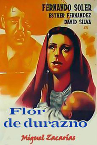 Póster de Peach Blossom