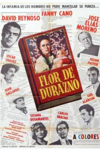 Póster de Peach Blossom