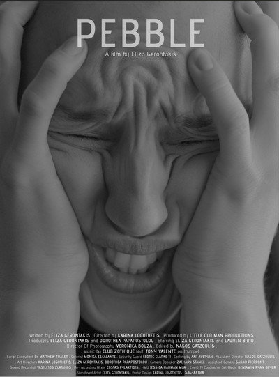 Póster de Pebble