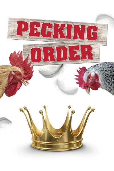 Póster de Pecking Order