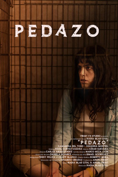 Póster de Pedazo