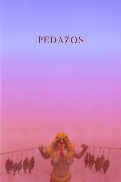 Póster de Pedazos