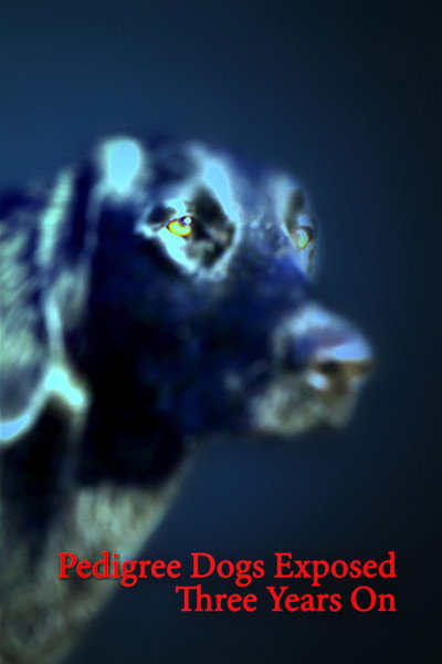 Póster de Pedigree Dogs Exposed, Three Years On