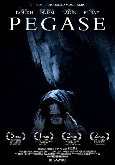 Póster de Pegasus