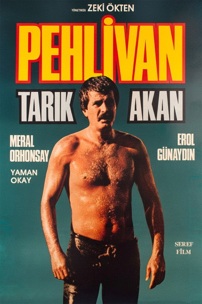 Póster de Pehlivan