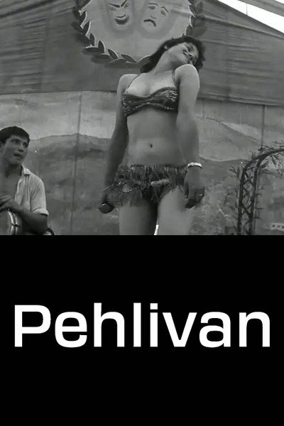 Póster de Pehlivan