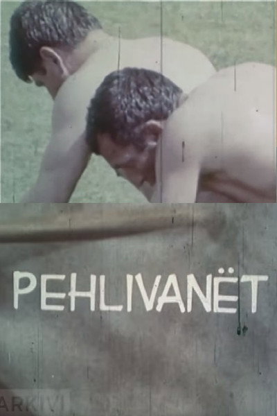 Póster de Pehlivanët