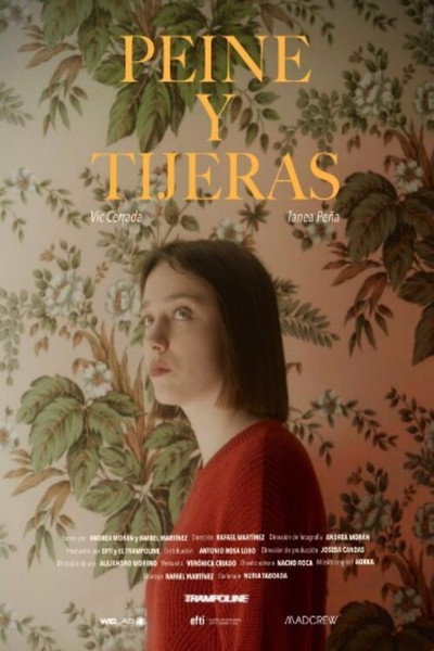 Póster de Peine y tijeras