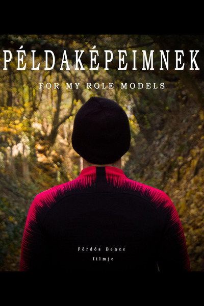 Póster de Példaképeimnek