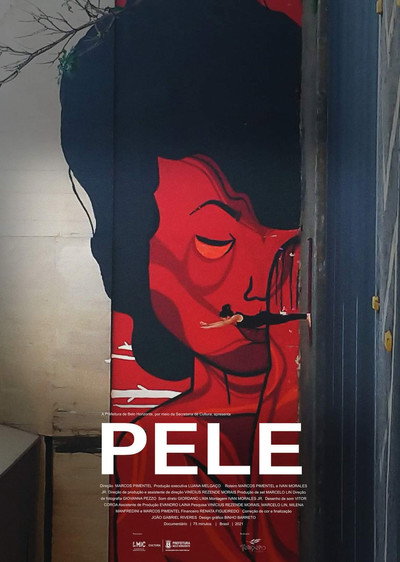 Póster de Pele