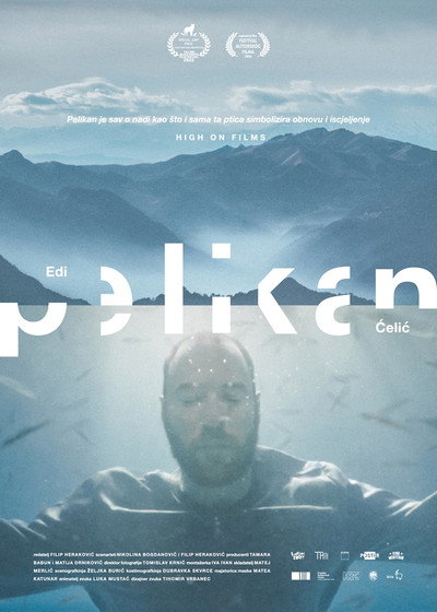 Póster de Pelican