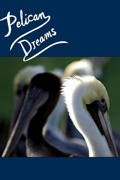 Póster de Pelican Dreams