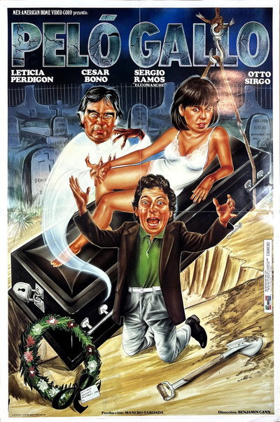 Póster de Pelo gallo