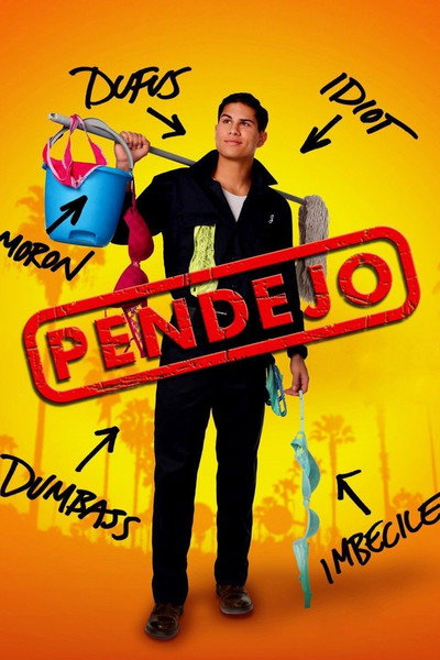 Póster de Pendejo (Idiot)