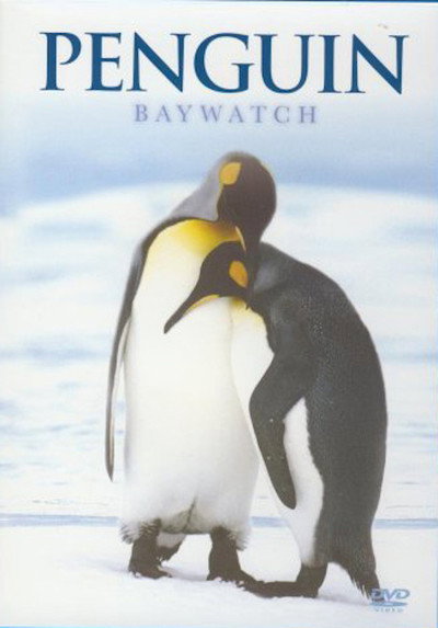 Póster de Penguin Baywatch - Sub-Antarctic Islands