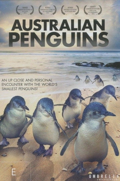 Póster de Penguin Island Western Australia