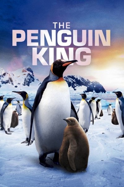 Póster de Penguins
