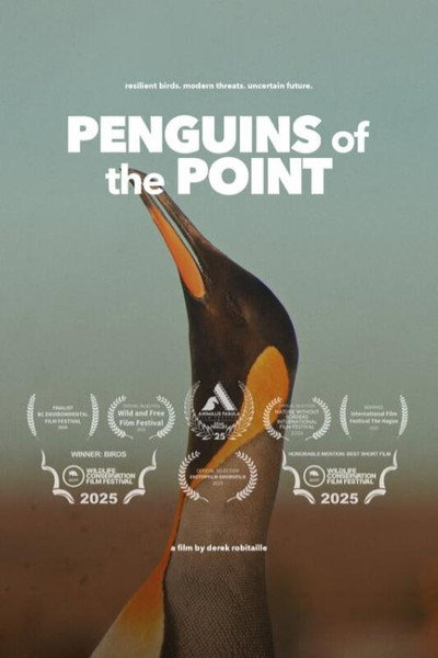 Póster de Penguins of the Point