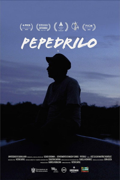 Póster de Pepedrilo