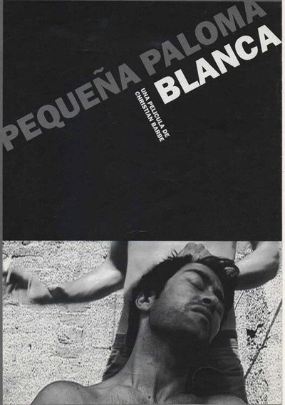 Póster de Pequeña paloma blanca
