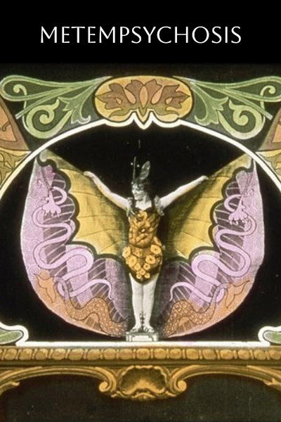 Póster de Pequeñas transformaciones